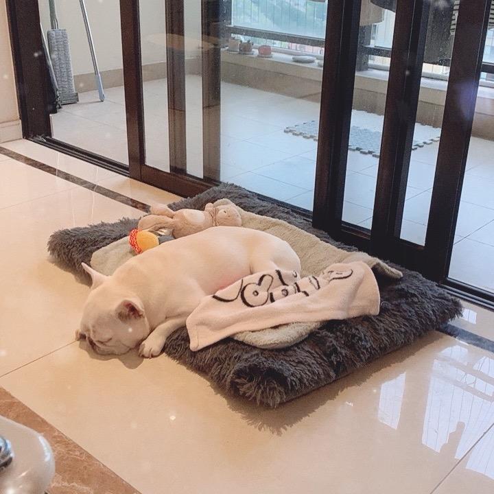 是周行