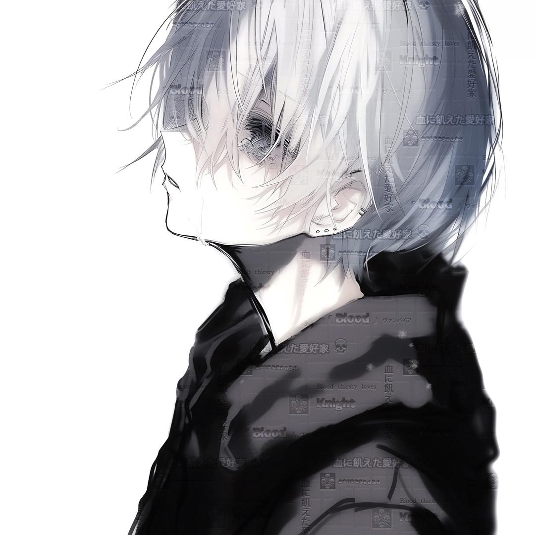 雨蝶