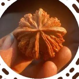 水果小哥🍏🍌🍎🍊🍐🍓