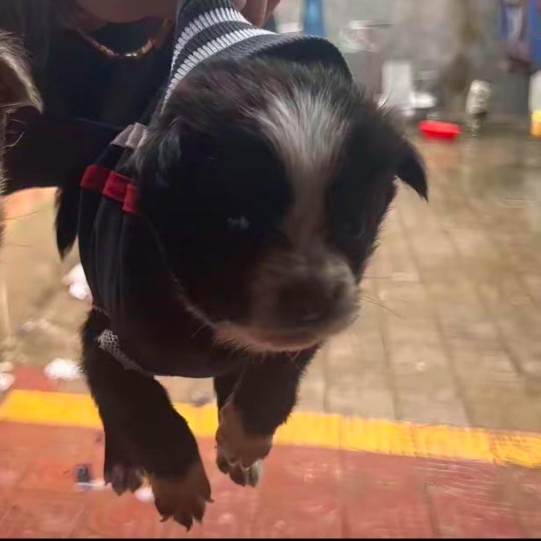 真的好想睡早觉