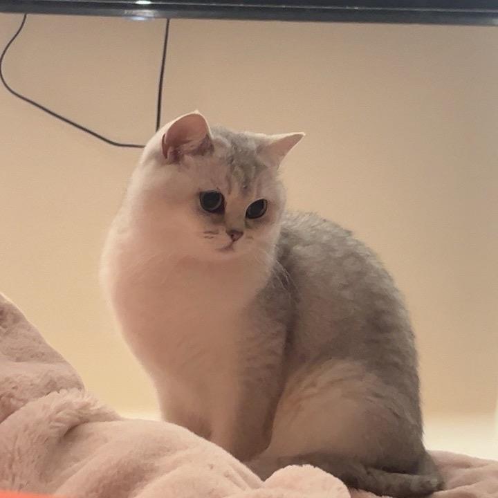 大话娱乐