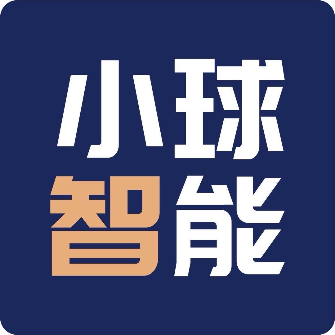 江西小球智能科技