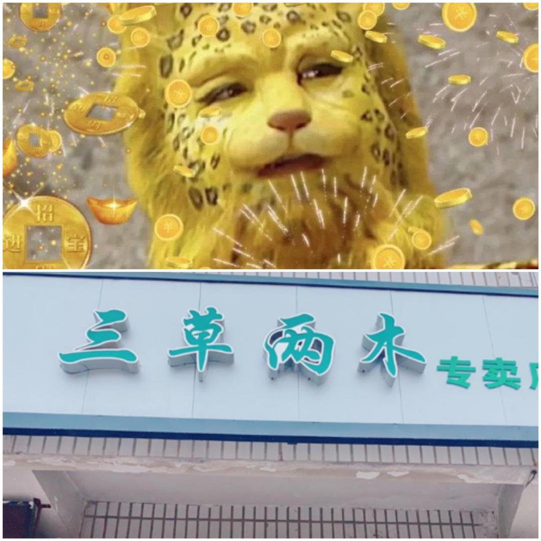 🌈果姐三草两木杞县店🌈