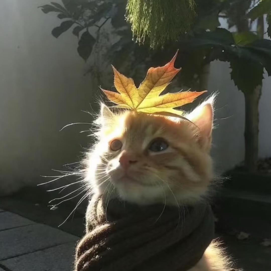廾匸🍂