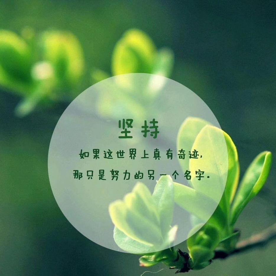 自由洒脱我的灵魂