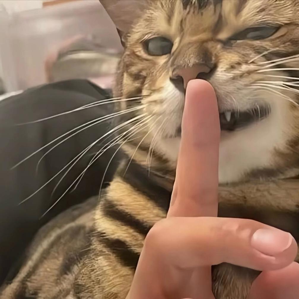 啊泽听风