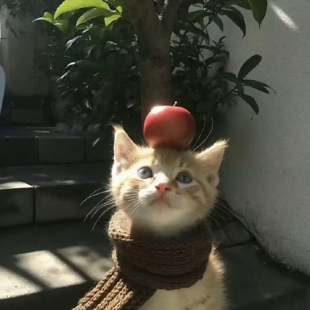 前奏曲