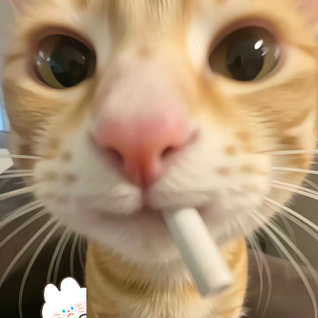 蜡笔不小心🍊