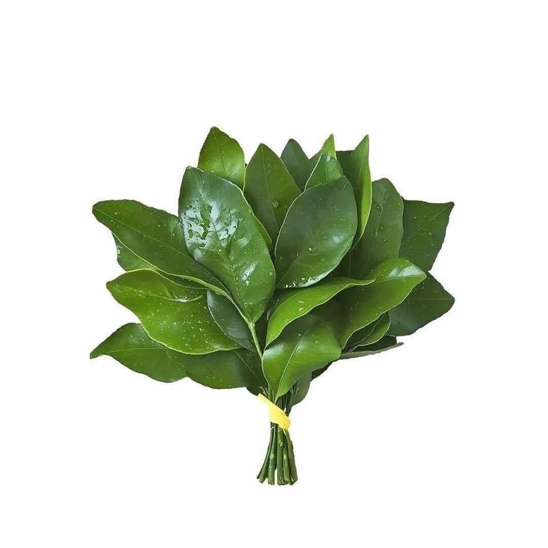 心渐远