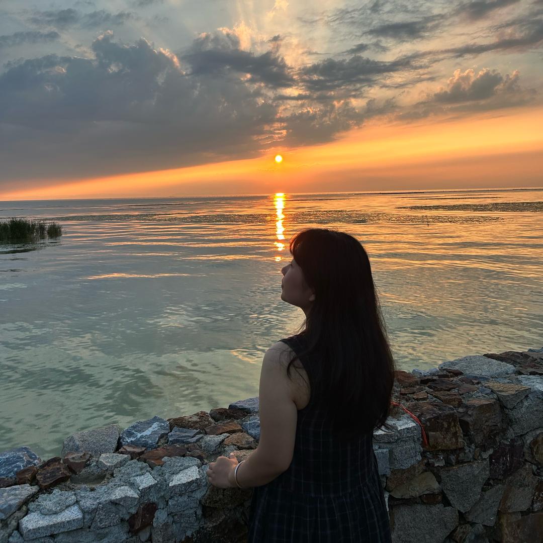 寄慌慌失业日记