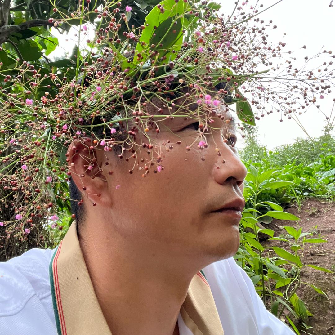 是二呀