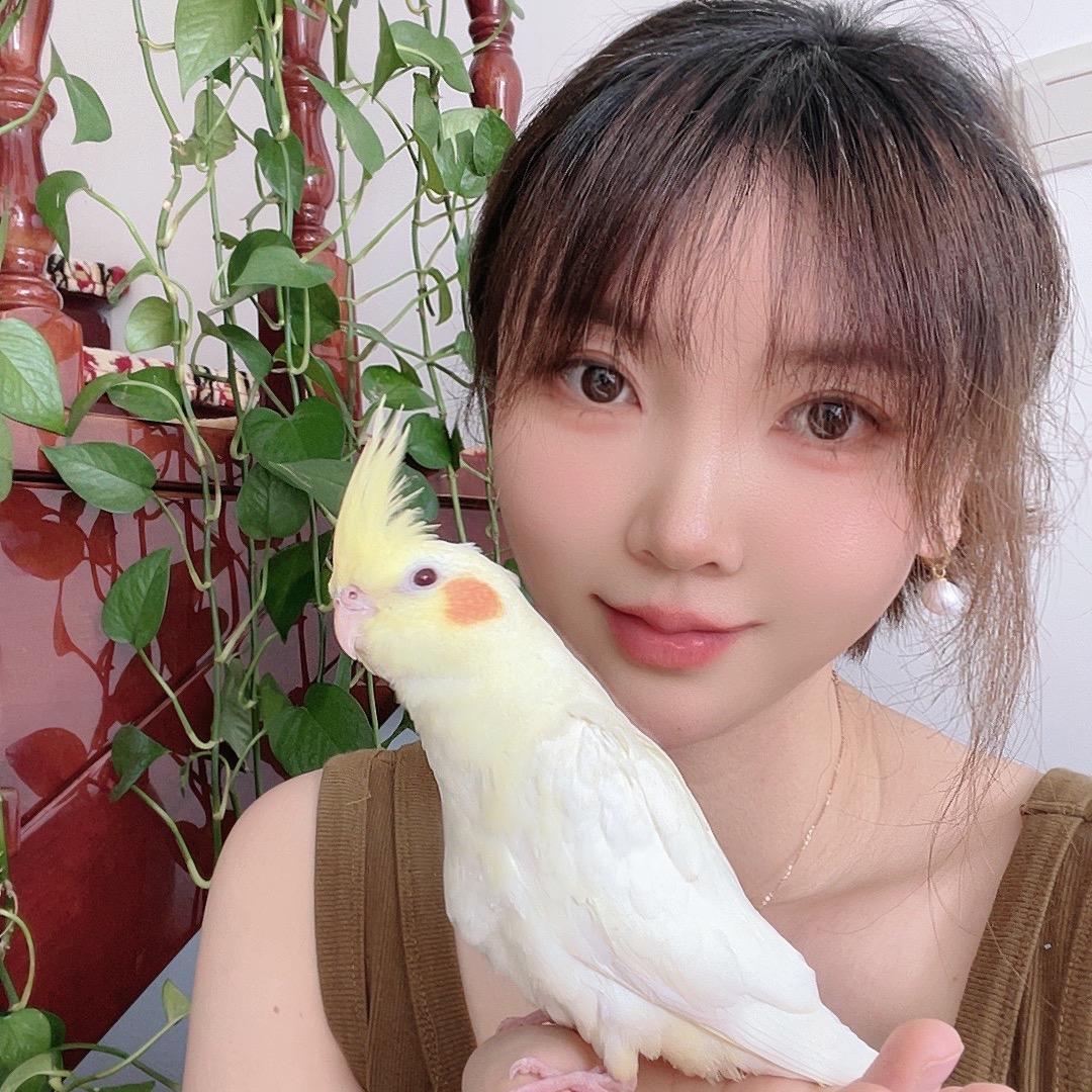 米果的宠物爱唱歌