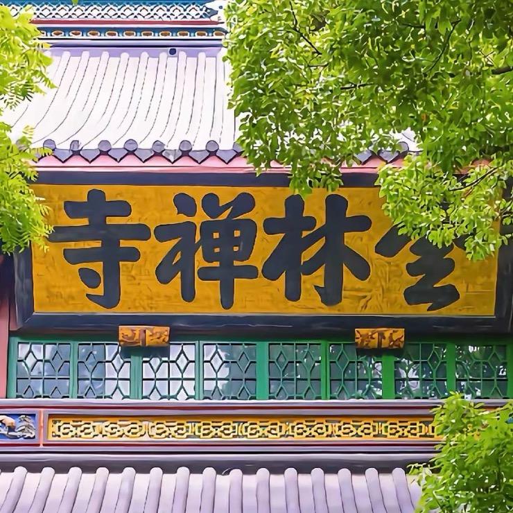 静心师兄 观我三天🈴🈴好