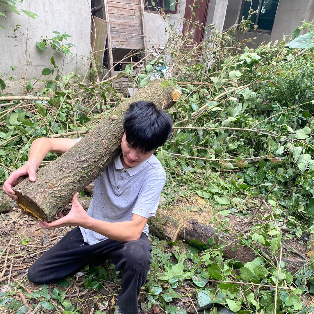 W小平子