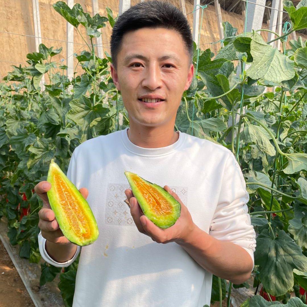 老杨在努力【这里有家水果店】