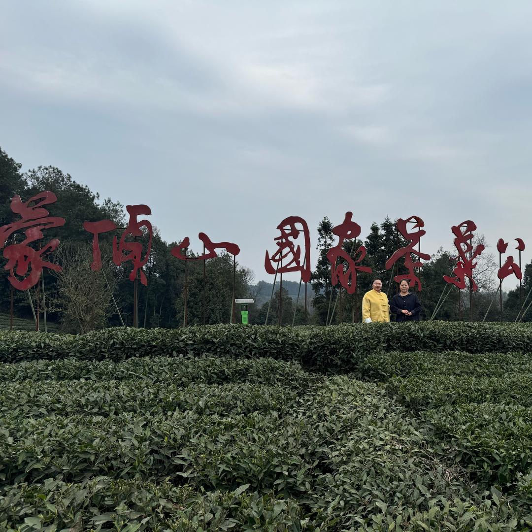 长品白茶^_^伊朵鲜花