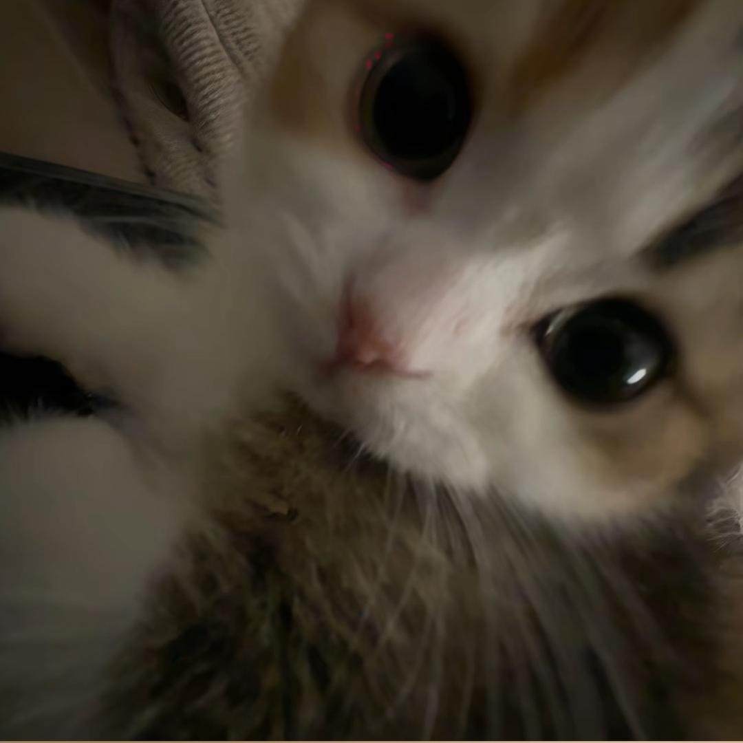 ʚ ɞ_