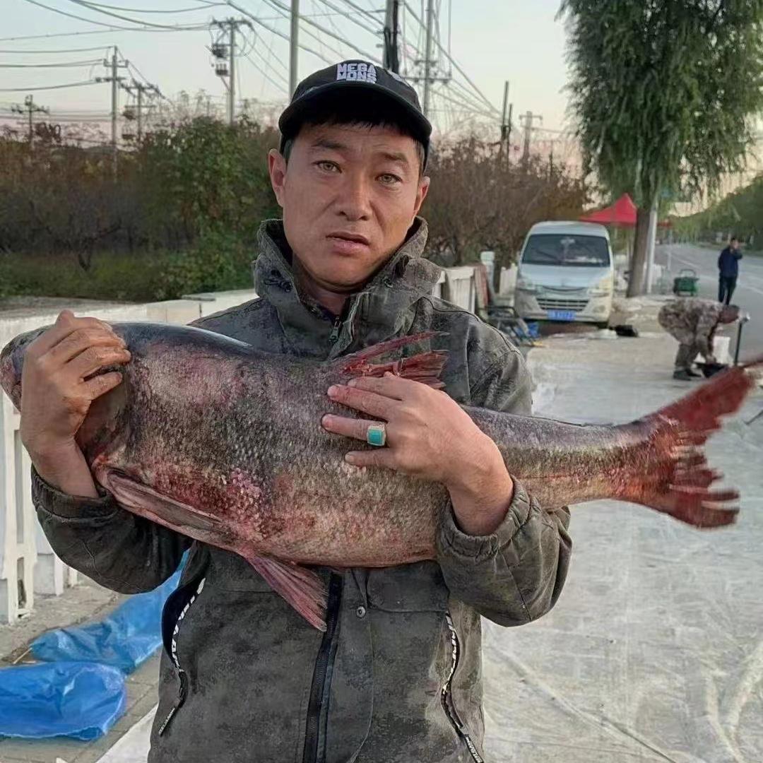 子语农贸