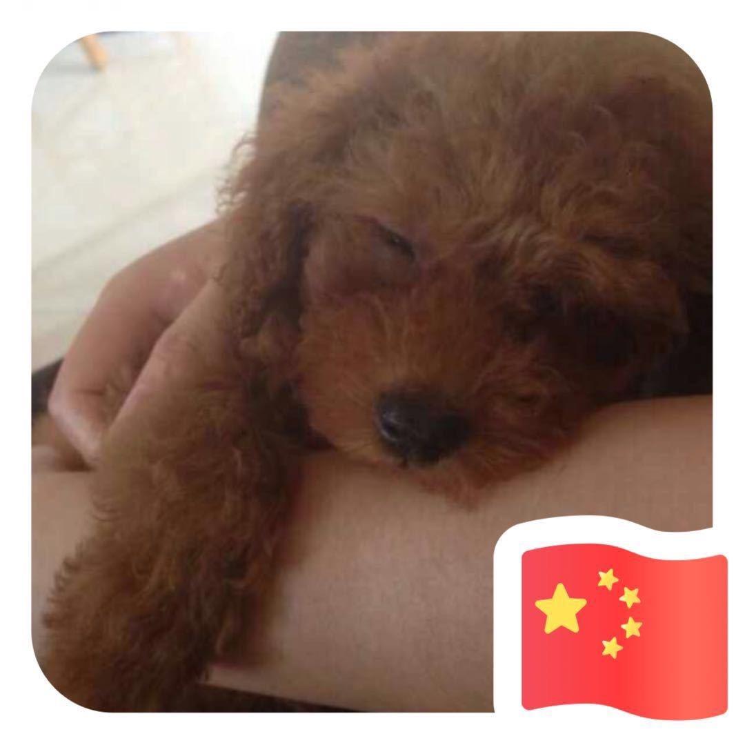 嘀嘀家吃喝玩乐