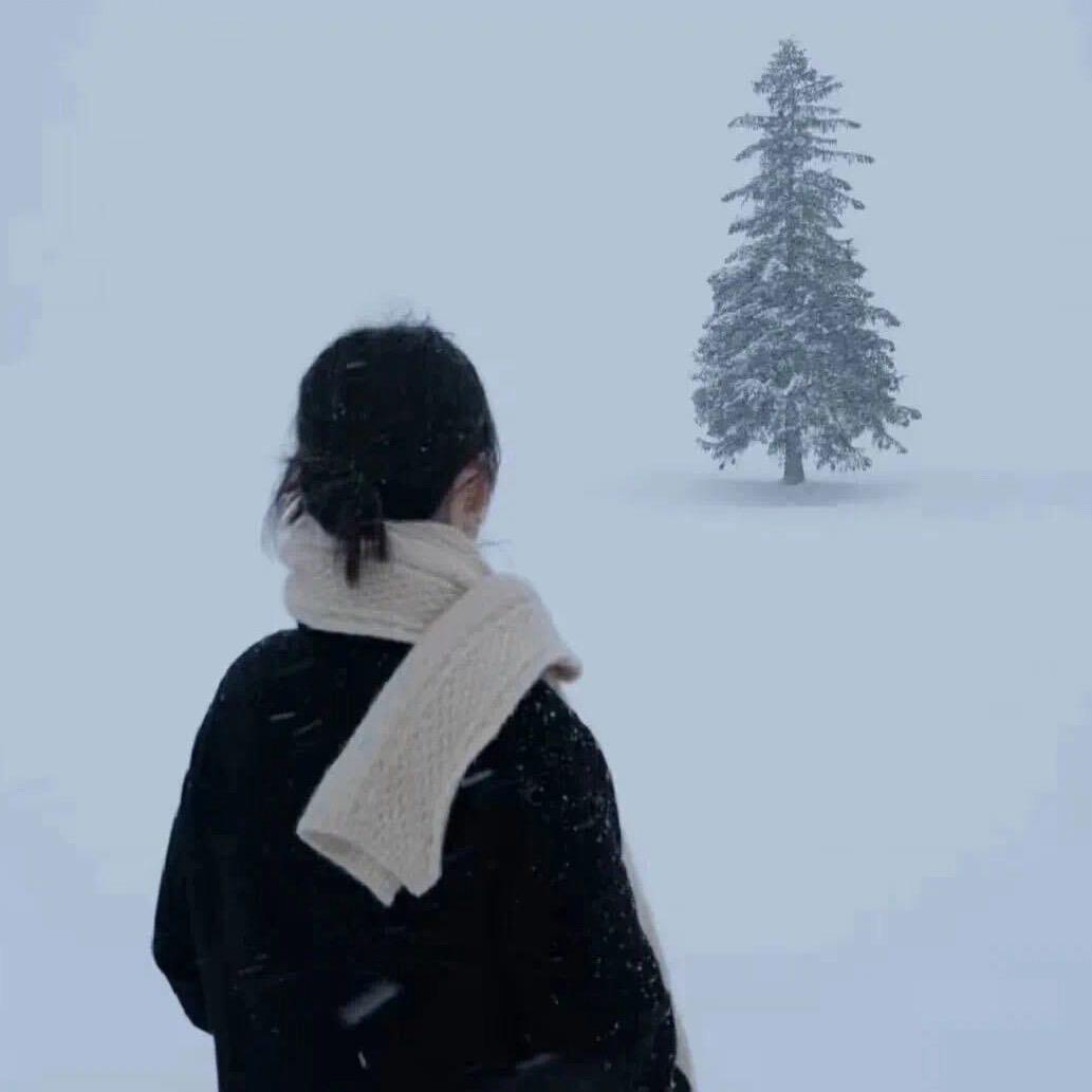 荔枝（努力版）