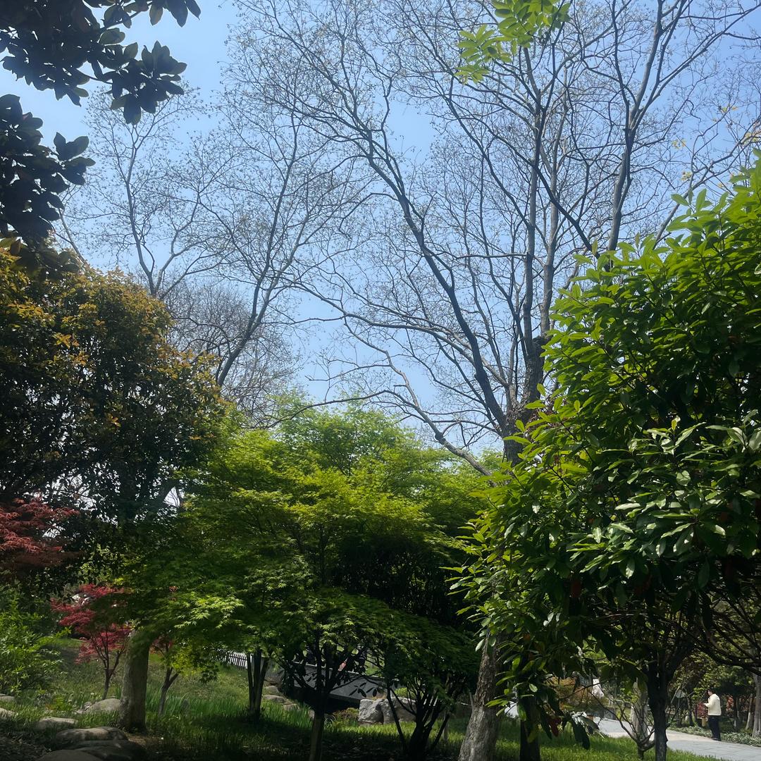 你见过雪飘人间吗？