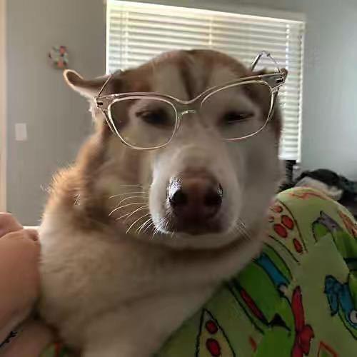 磊磊没石