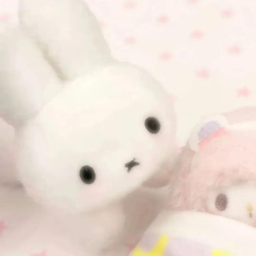 七月七