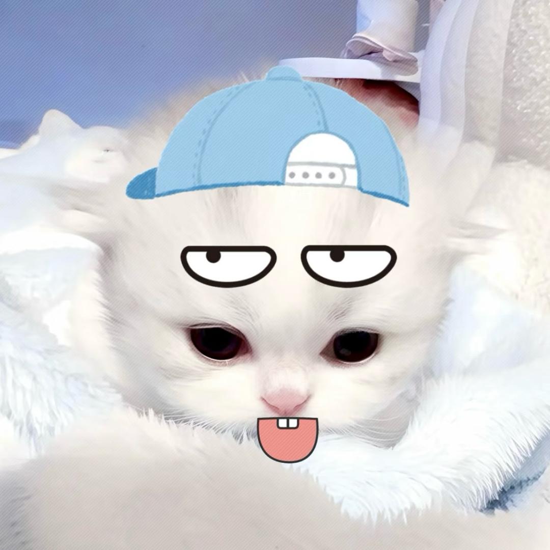 今天在干嘛
