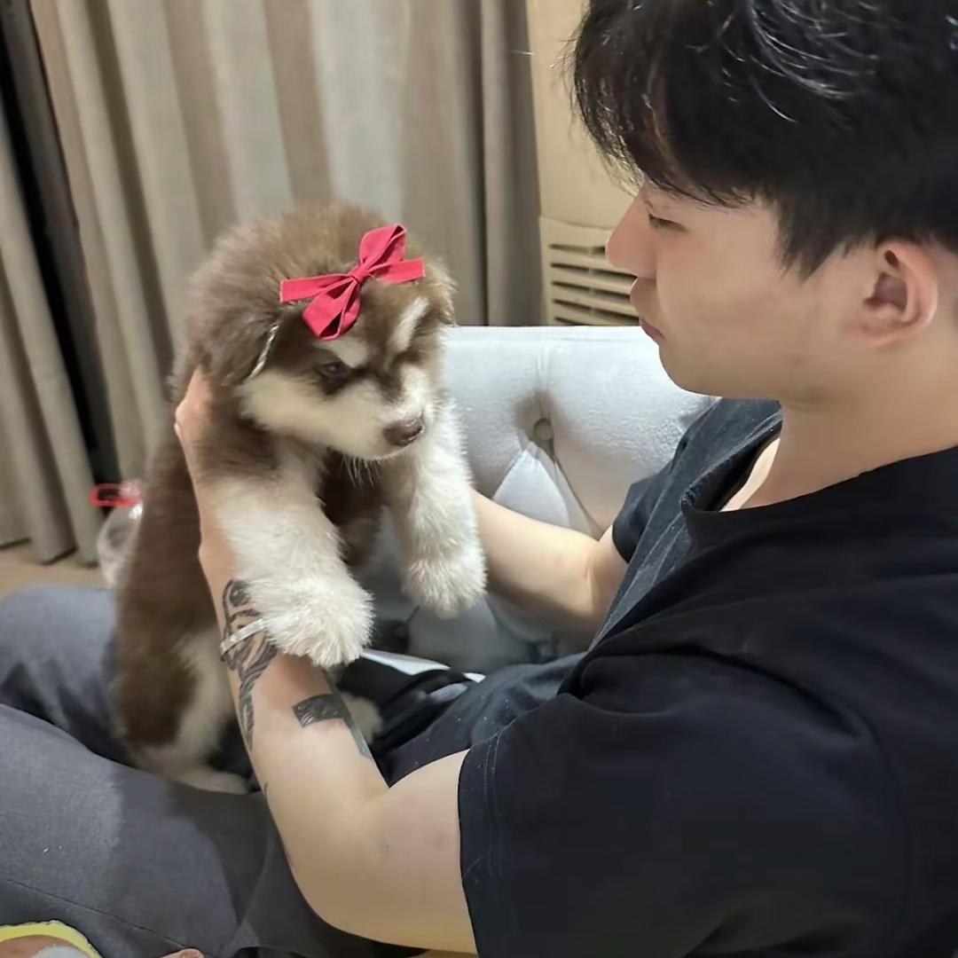不想上班💼