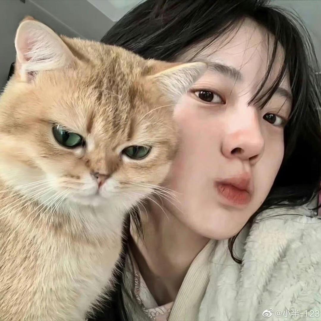 陈旧的诗