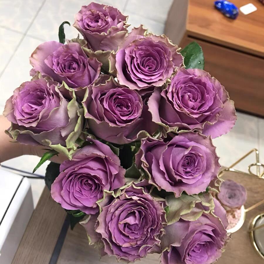 花千朵月季