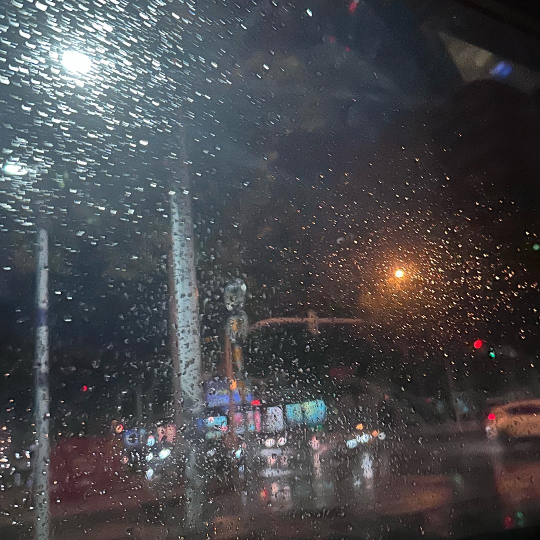 一蓑烟雨任平生