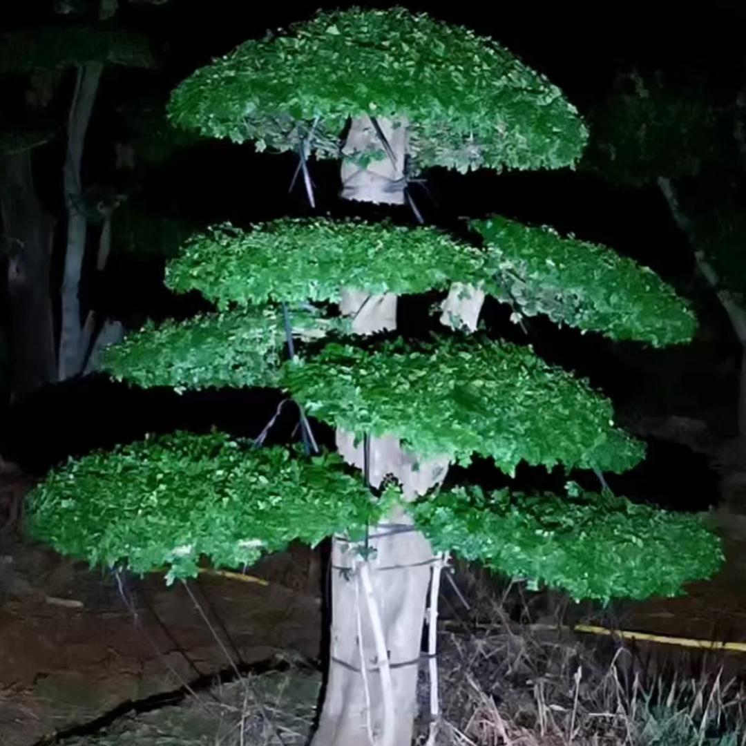 京山学东园林