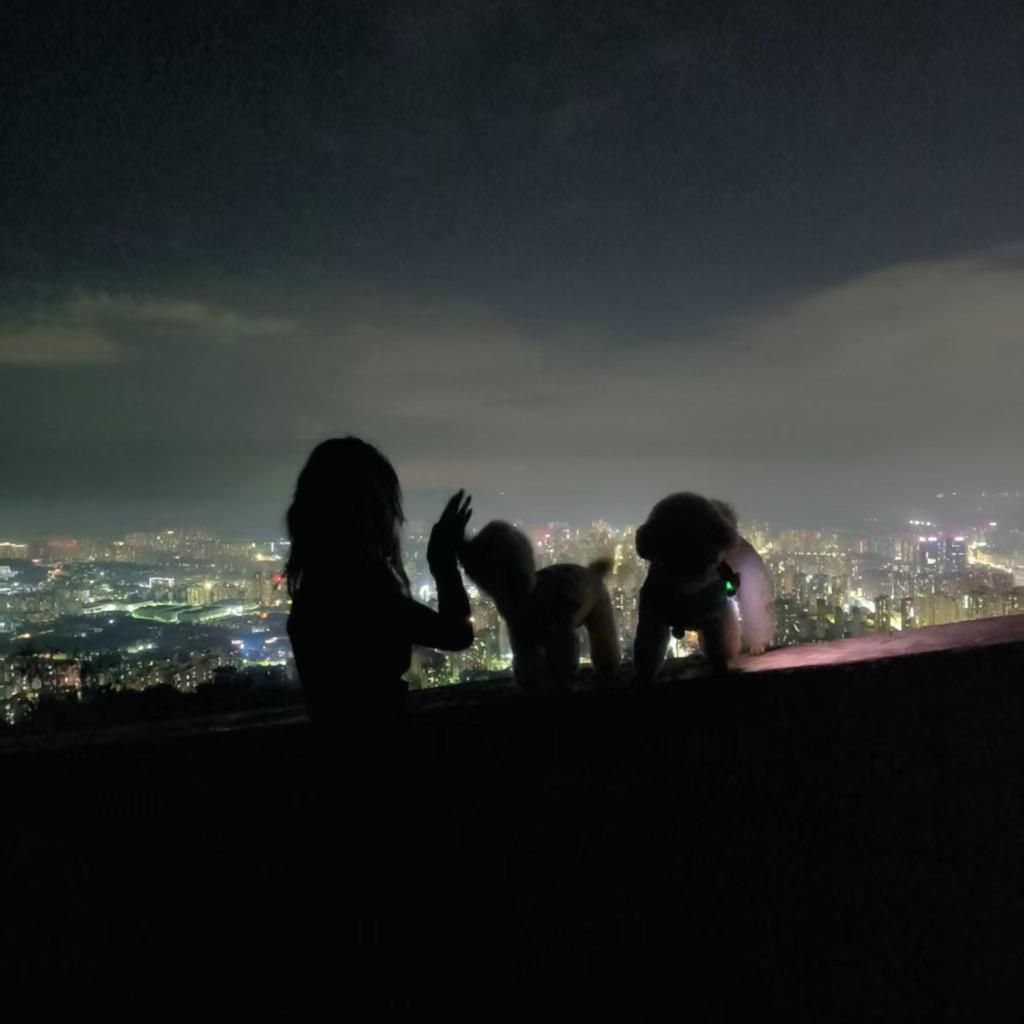 云南昆明避暑房羊小小