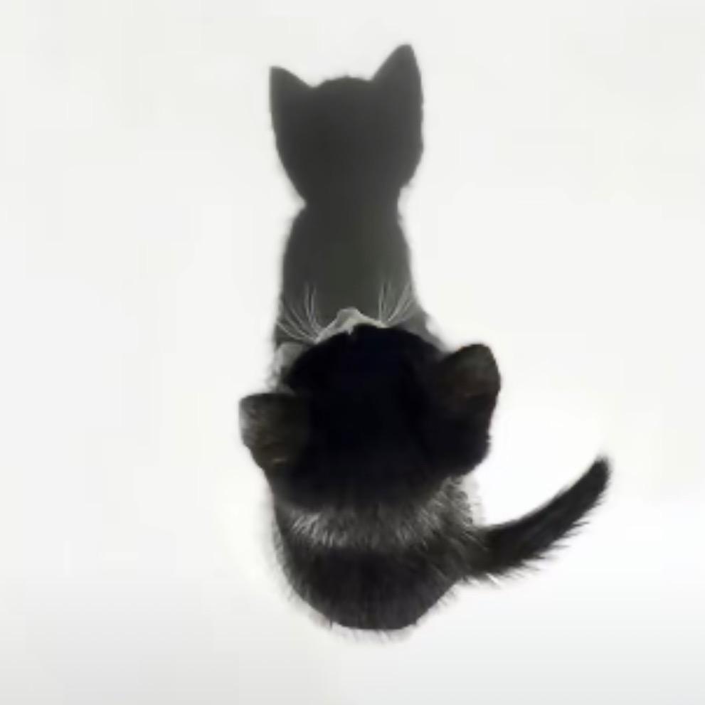 3456