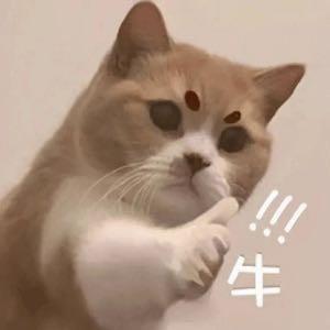 听闲头像
