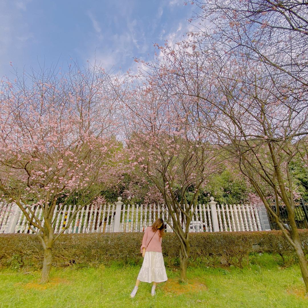 猫嘚仙儿🧚🏻