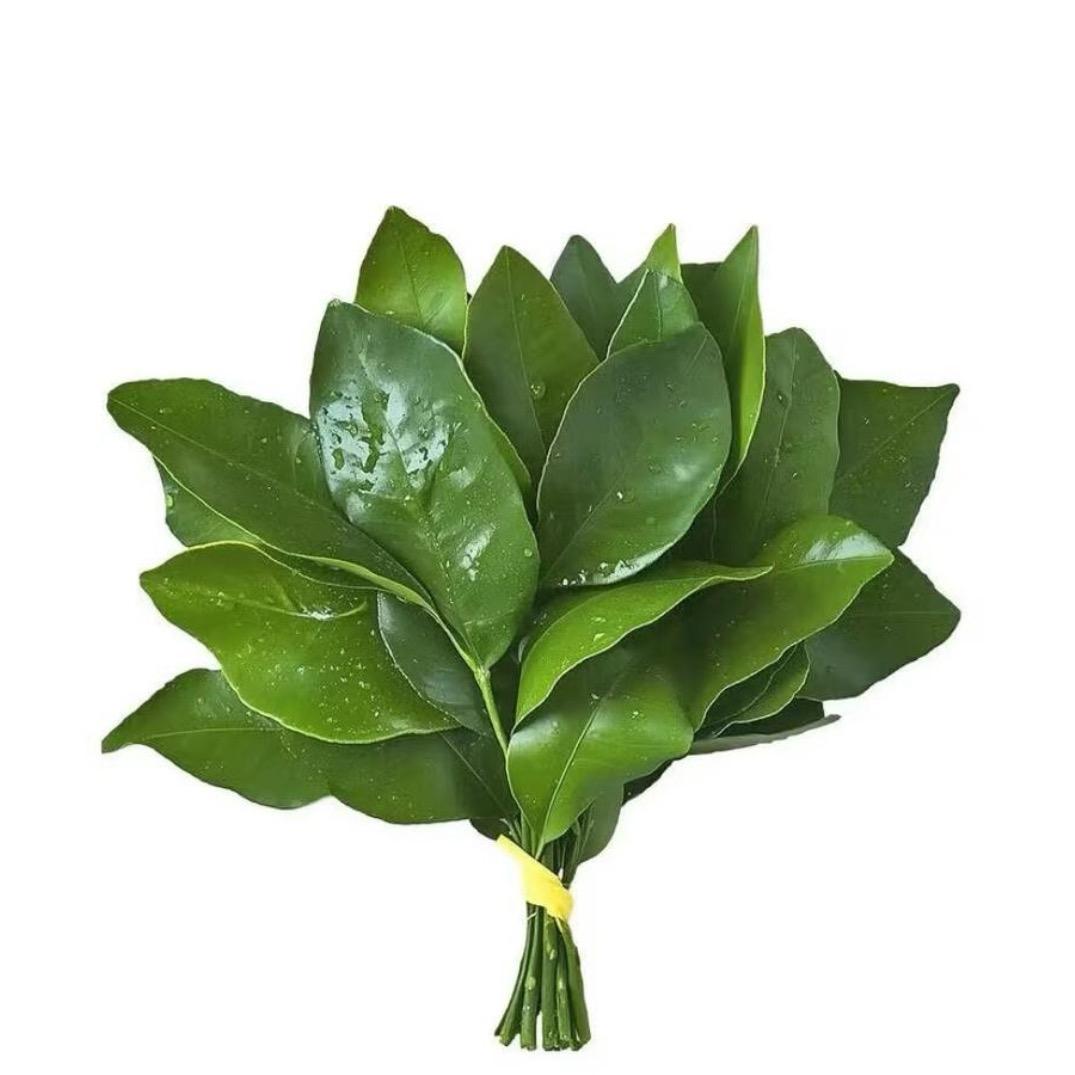 妍妍🥯