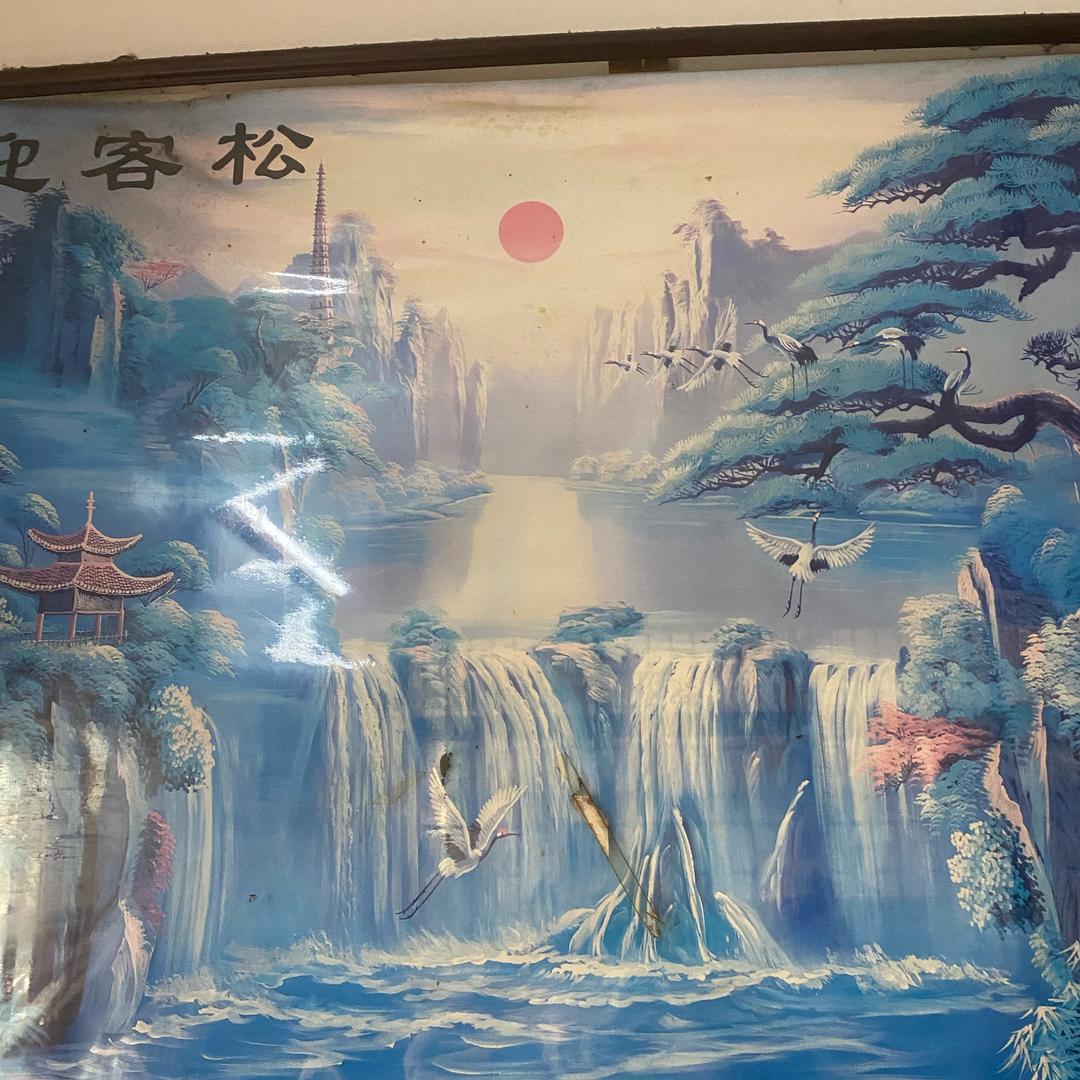 展翅