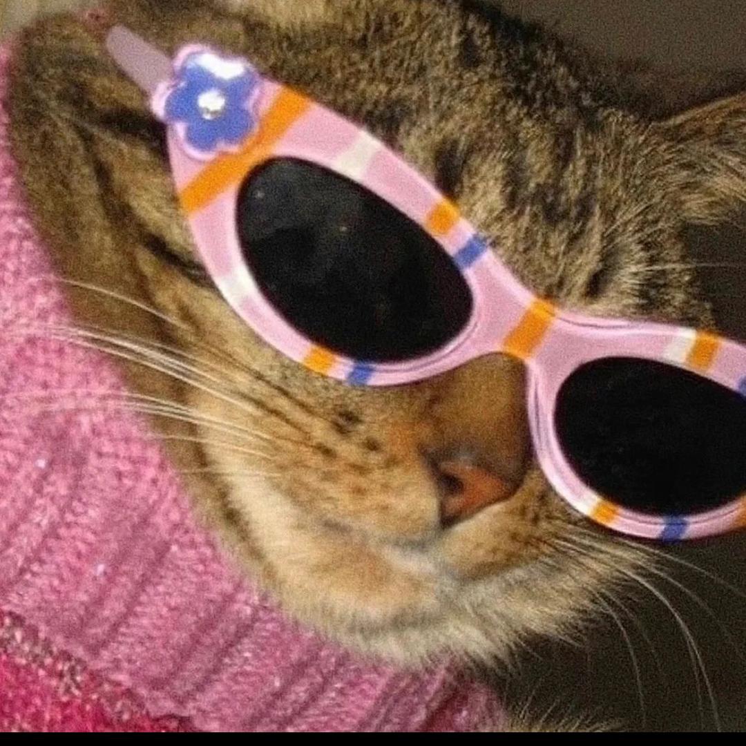 小蝴蝶🦋和珍珠