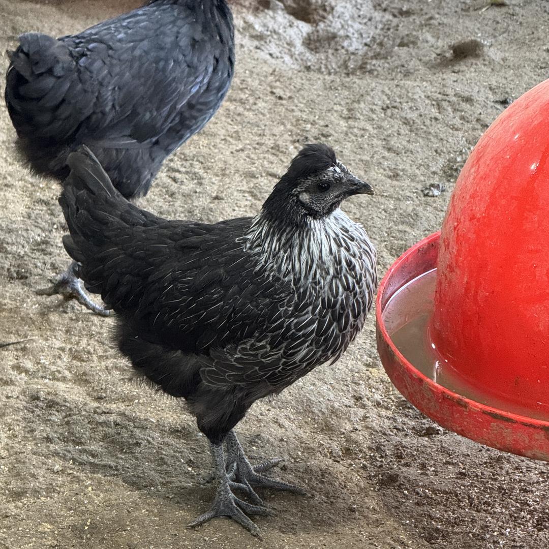 精选振栋好货店