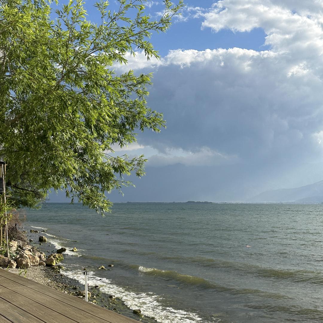 aa