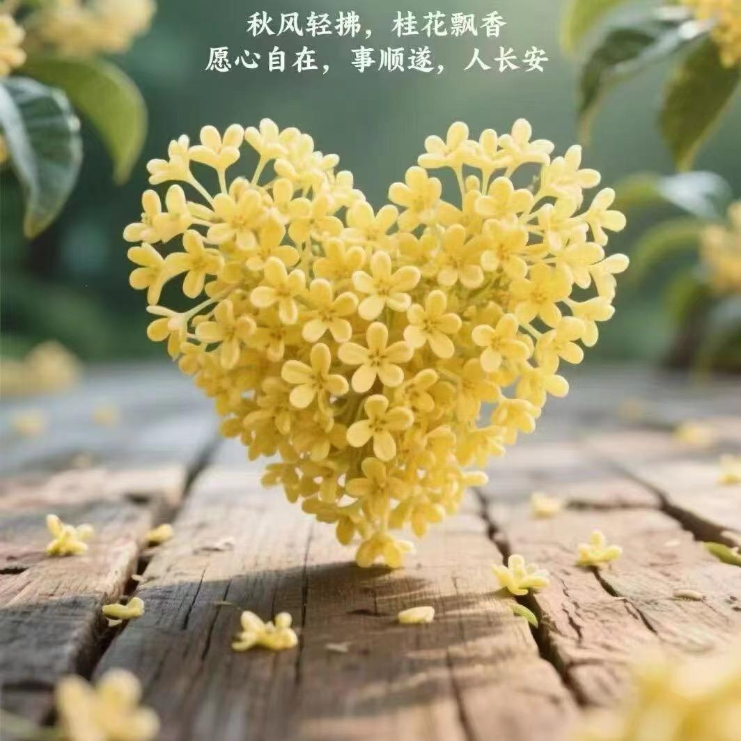 💘莫哩耶系