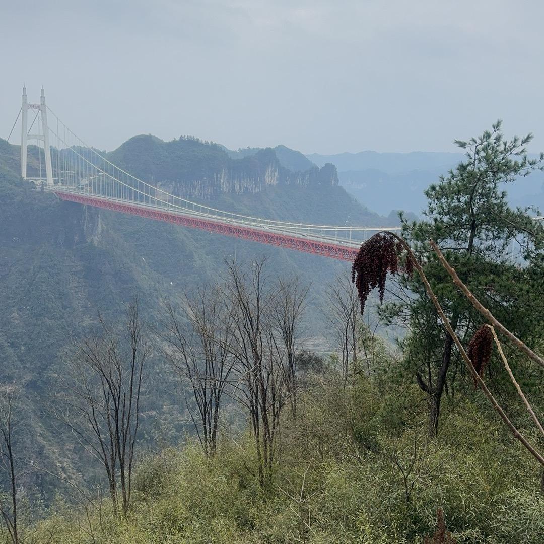 沉默 （知足常乐）