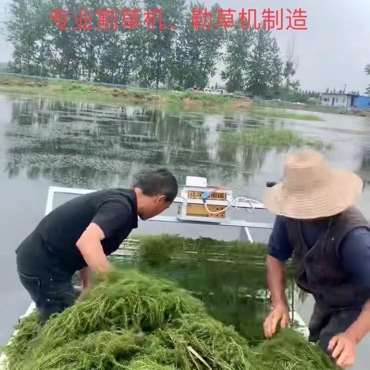 虾蟹割草机批发