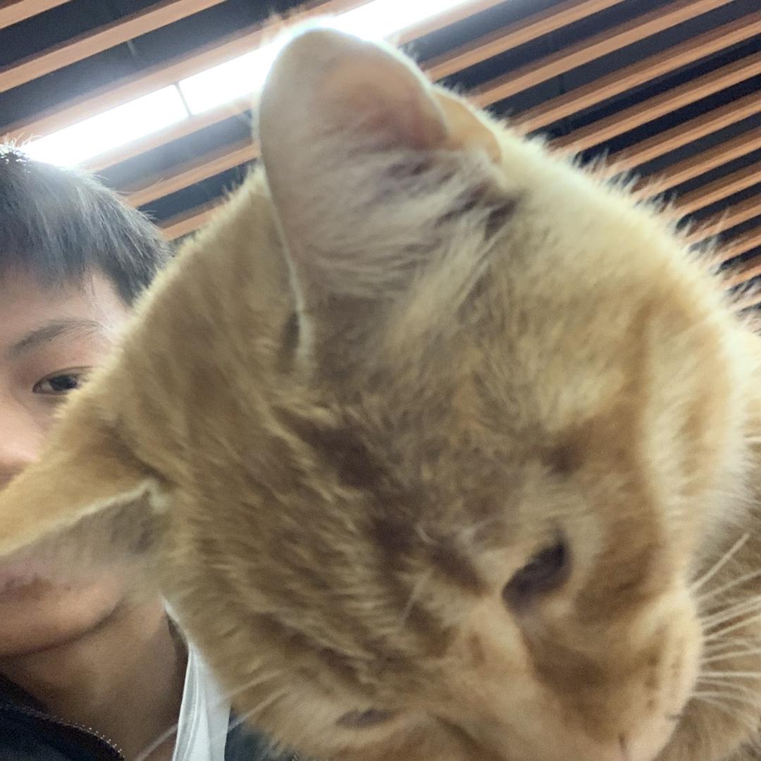裴星星