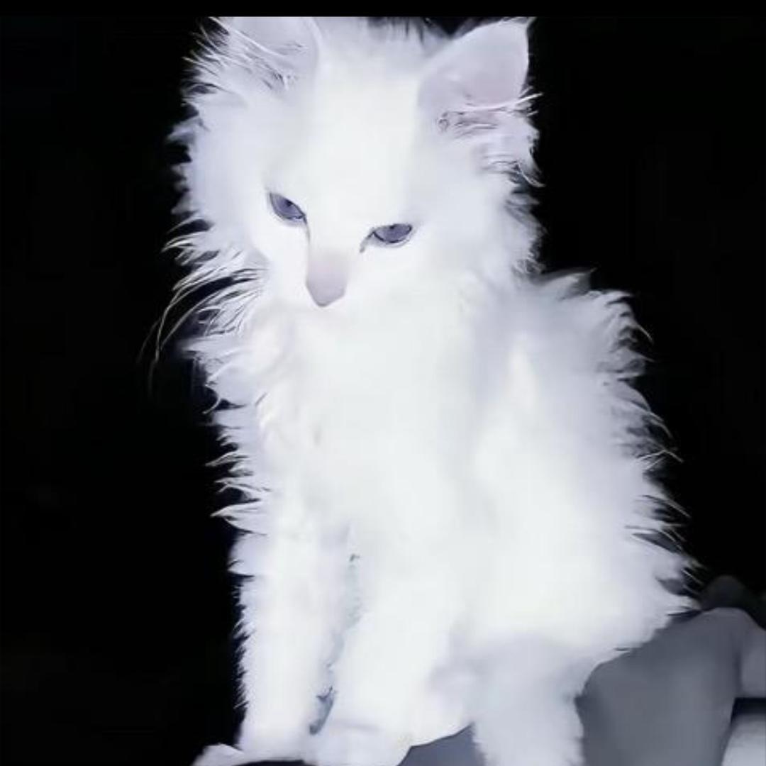 ZZZ