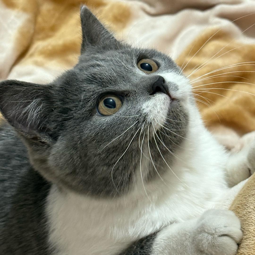 就那样吧