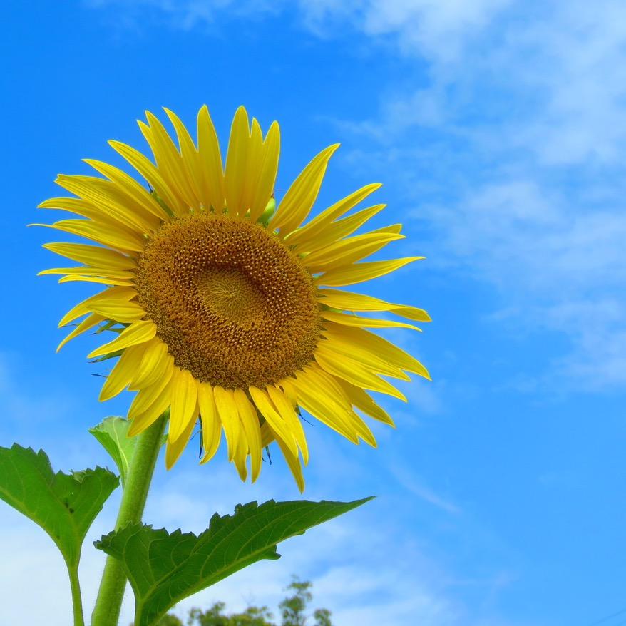 临漳车主365汽车美容（路北）