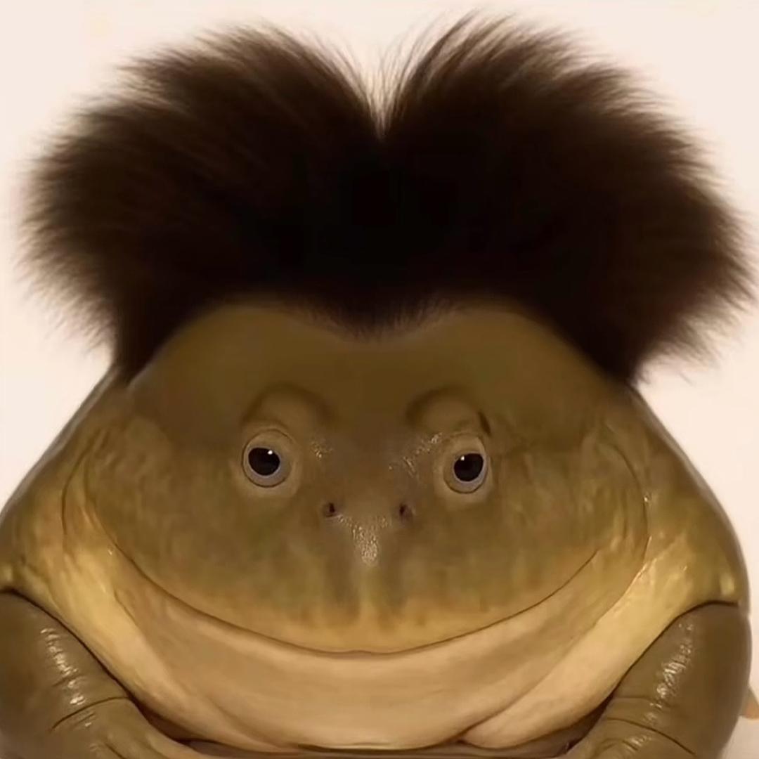 北极光
